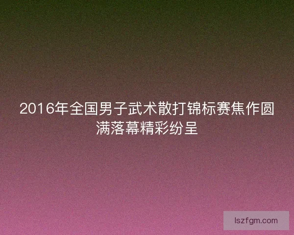 2016年全国男子武术散打锦标赛焦作圆满落幕精彩纷呈